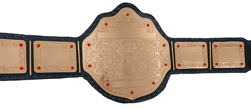 Just A Gold Championship Belt