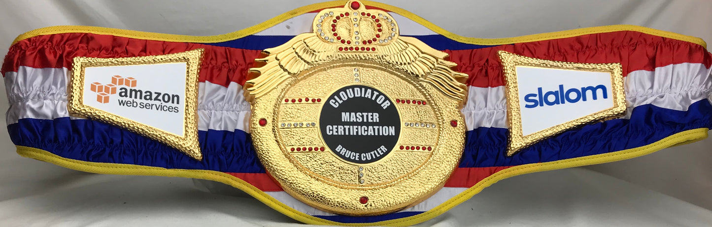 Victory Heavy DC Championship Belt
