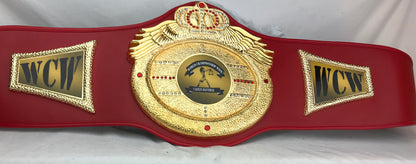 Victory Heavy DC Championship Belt