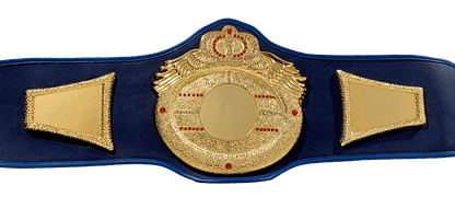 Victory Heavy DC Championship Belt
