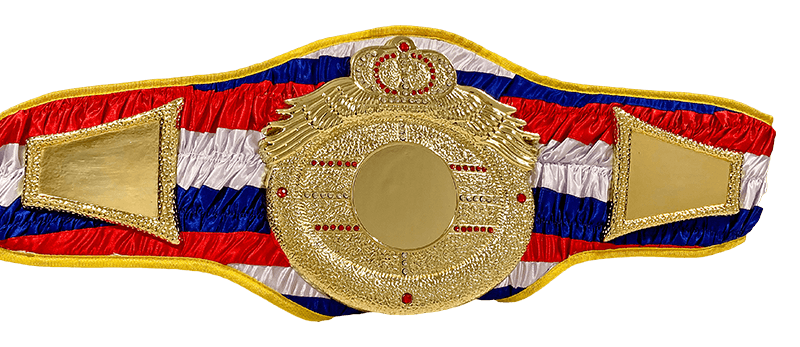 Victory Heavy DC Championship Belt