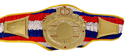 Victory Heavy DC Championship Belt