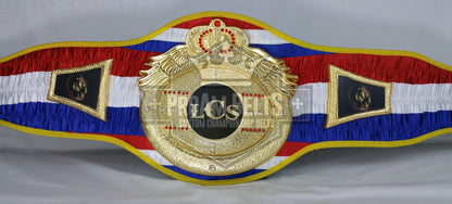 Victory Heavy DC Championship Belt